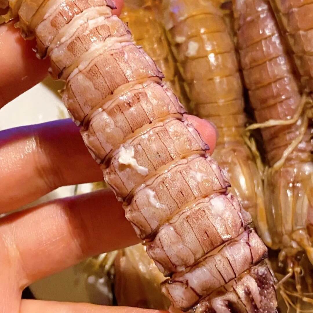 皮皮虾包肥中号9-12厘米空壳包赔熟冻虾婆虾蛄冷冻濑尿虾富贵虾X5