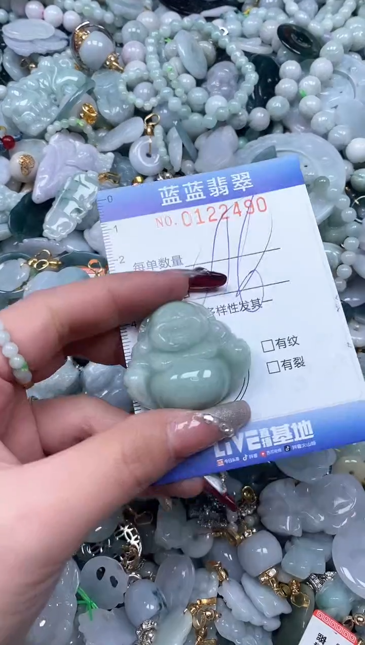 【闪购商品】翡翠颈饰未镶嵌闪购0122490多样性发其一