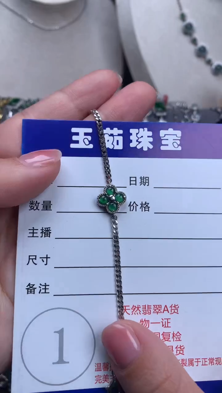 【闪购商品】翡翠颈饰银S925镶嵌234234