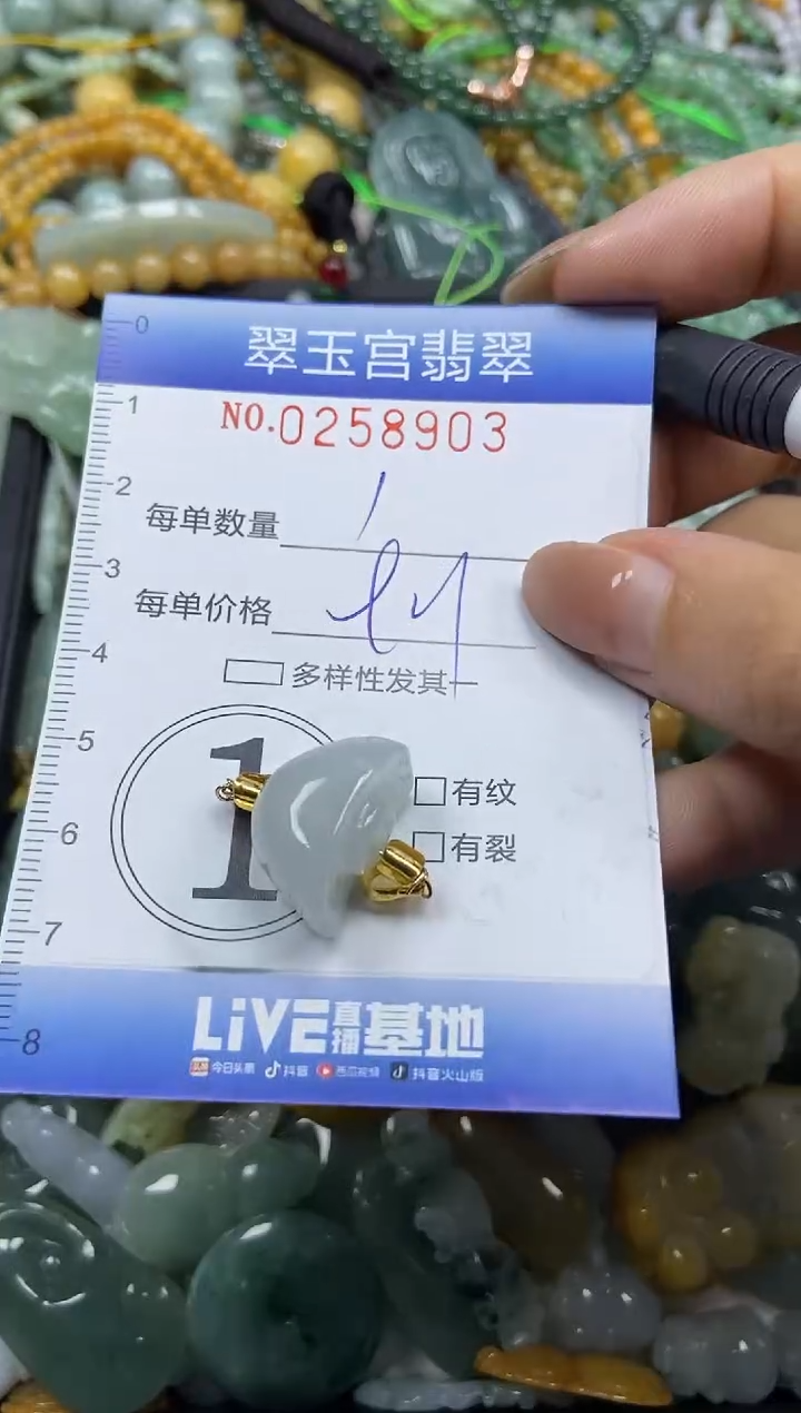 颈饰未镶嵌翡翠闪购C0258903