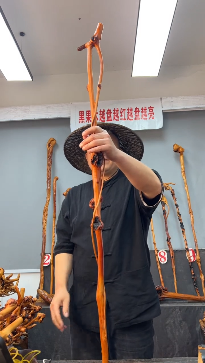 【闪购商品】黑果木其他黑果木702