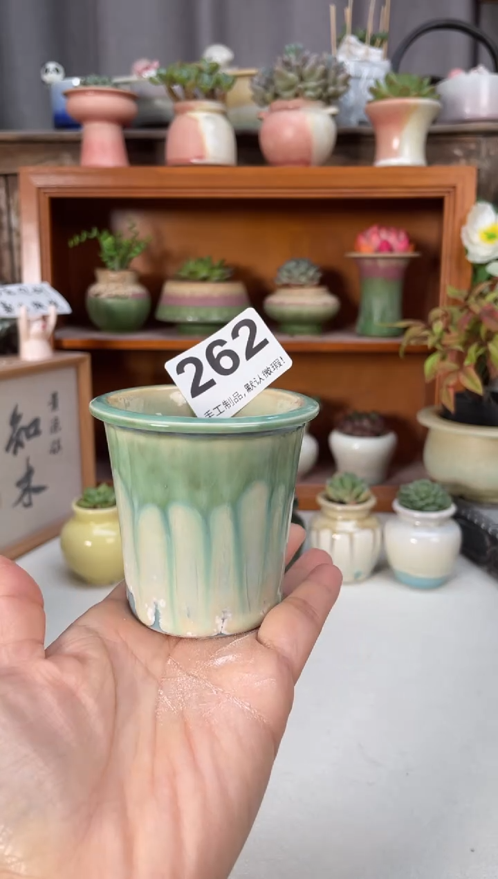 瓷片262小芳直播编号