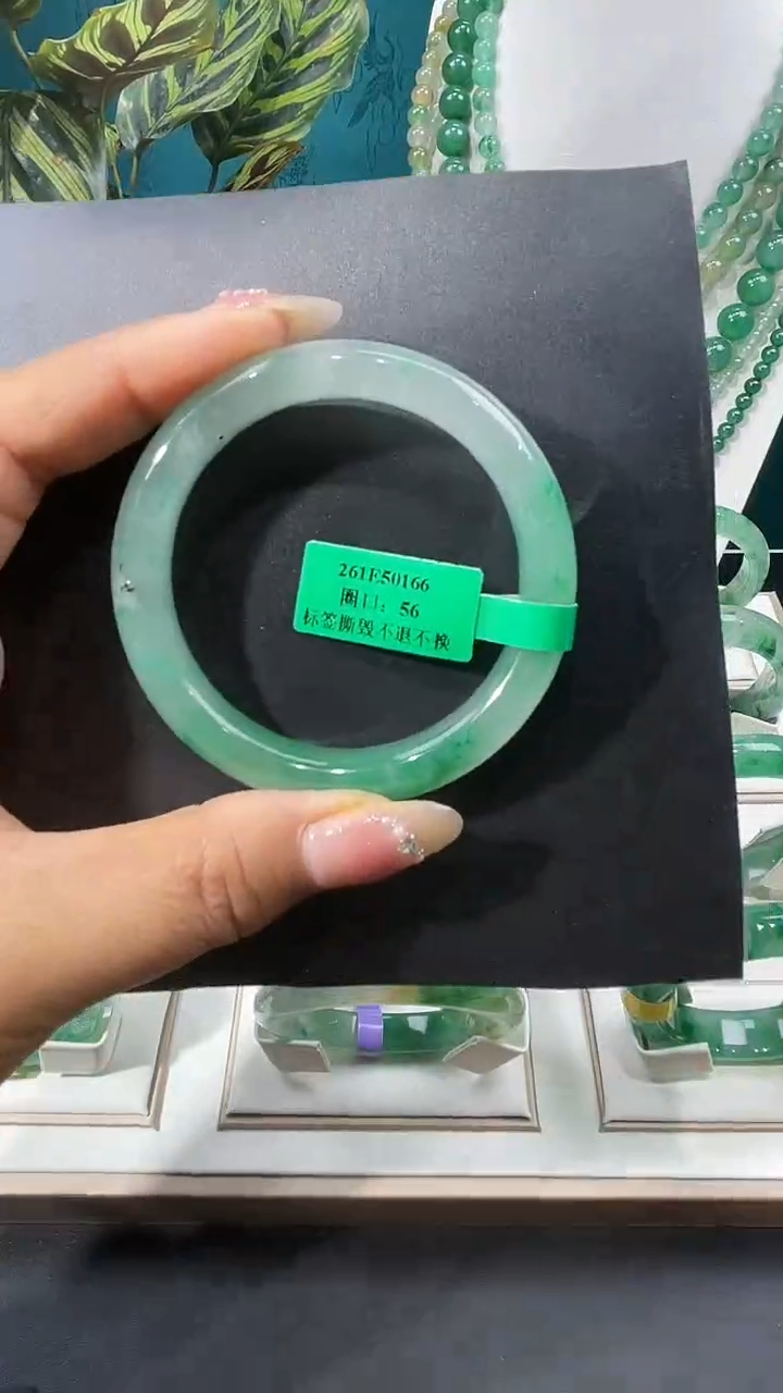 未镶嵌手镯石英质玉（非洲翠）6手镯