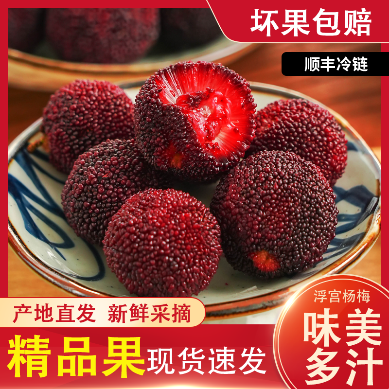 【顺丰】新鲜杨梅当天现采鲜杨梅酸甜福建浮宫杨梅现摘杨梅应季水果应季采摘孕妇水果酸甜多汁半/3/4斤福建省