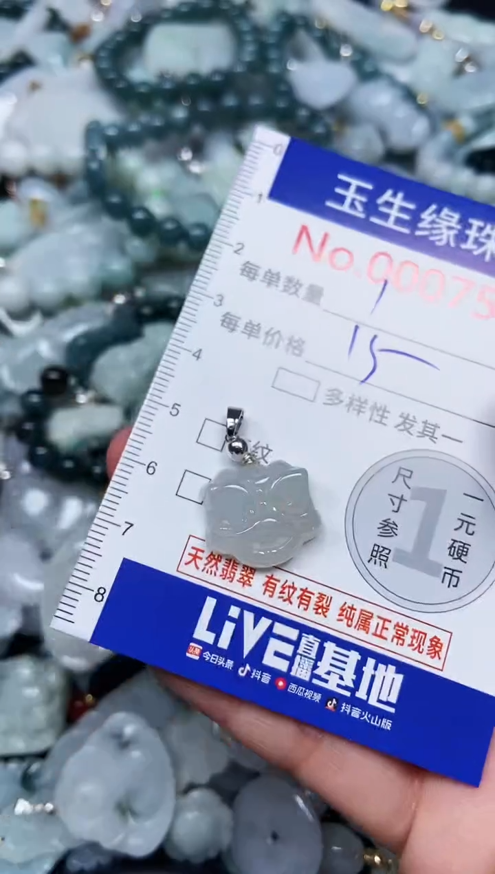 【闪购商品】翡翠颈饰未镶嵌闪购00007585