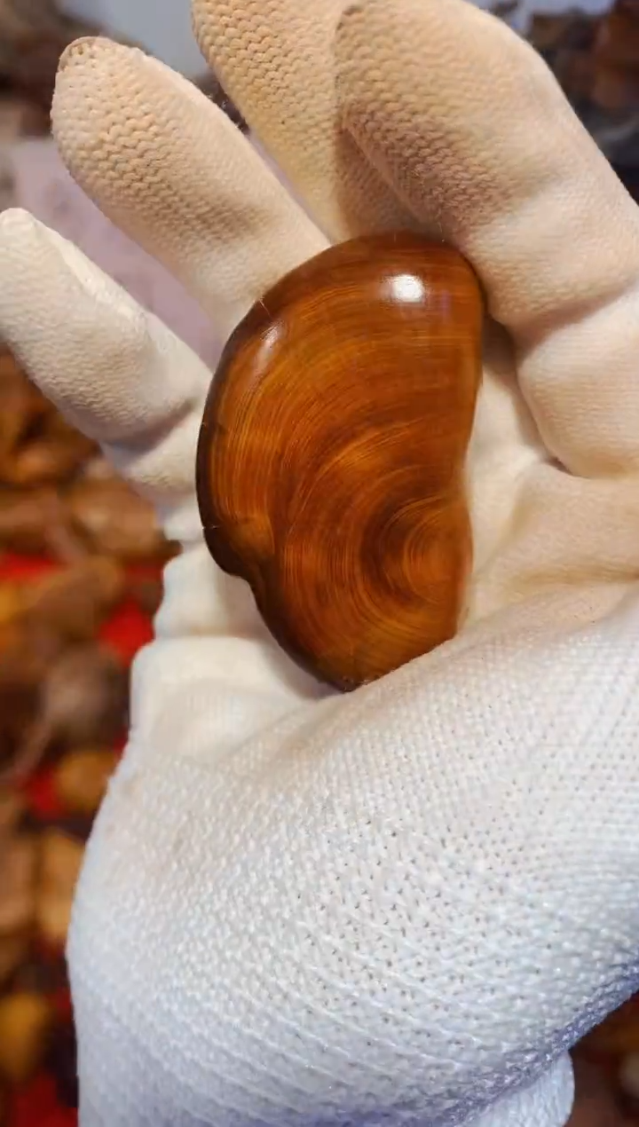 柏木（崖柏）34北太行崖柏手把件手串