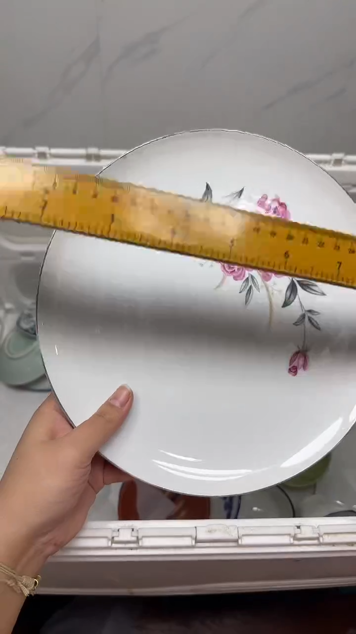 【闪购商品】646回流瓷器默认微瑕，18.8包邮