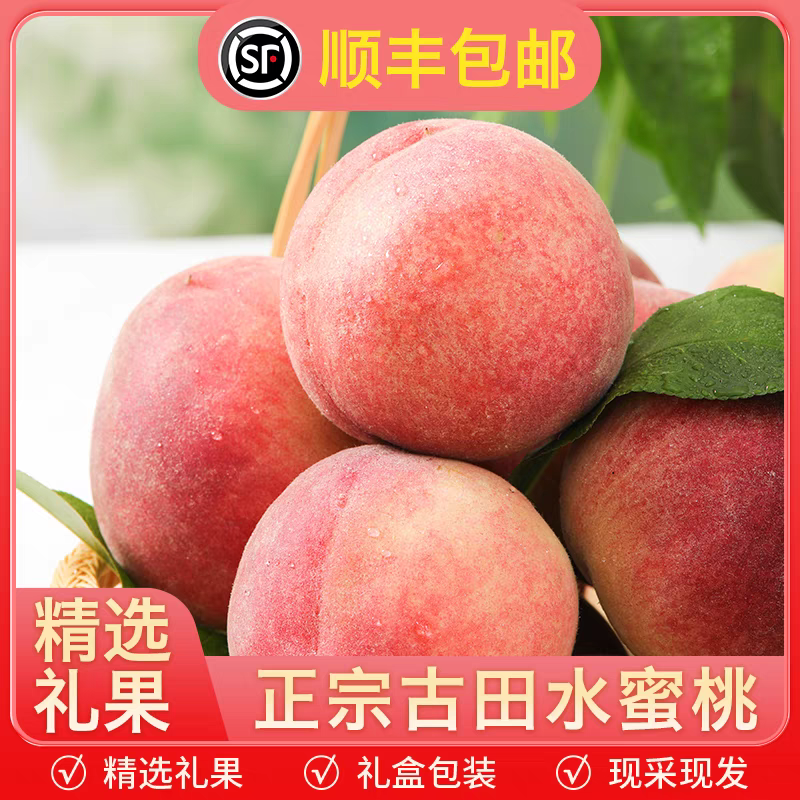 顺丰包邮新鲜现摘古田水蜜桃甜桃脆软两吃鲜甜多汁产地直发