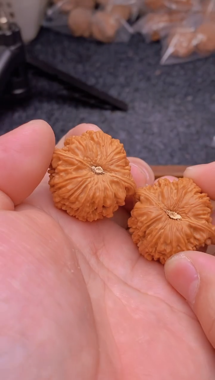 【闪购商品】文玩核桃把件G391号36尺龙珠