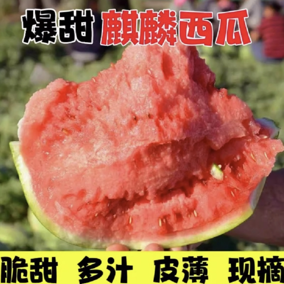 顺丰产地直发正宗果园现摘现发冰糖麒麟西瓜有籽无籽脆甜孕妇水果