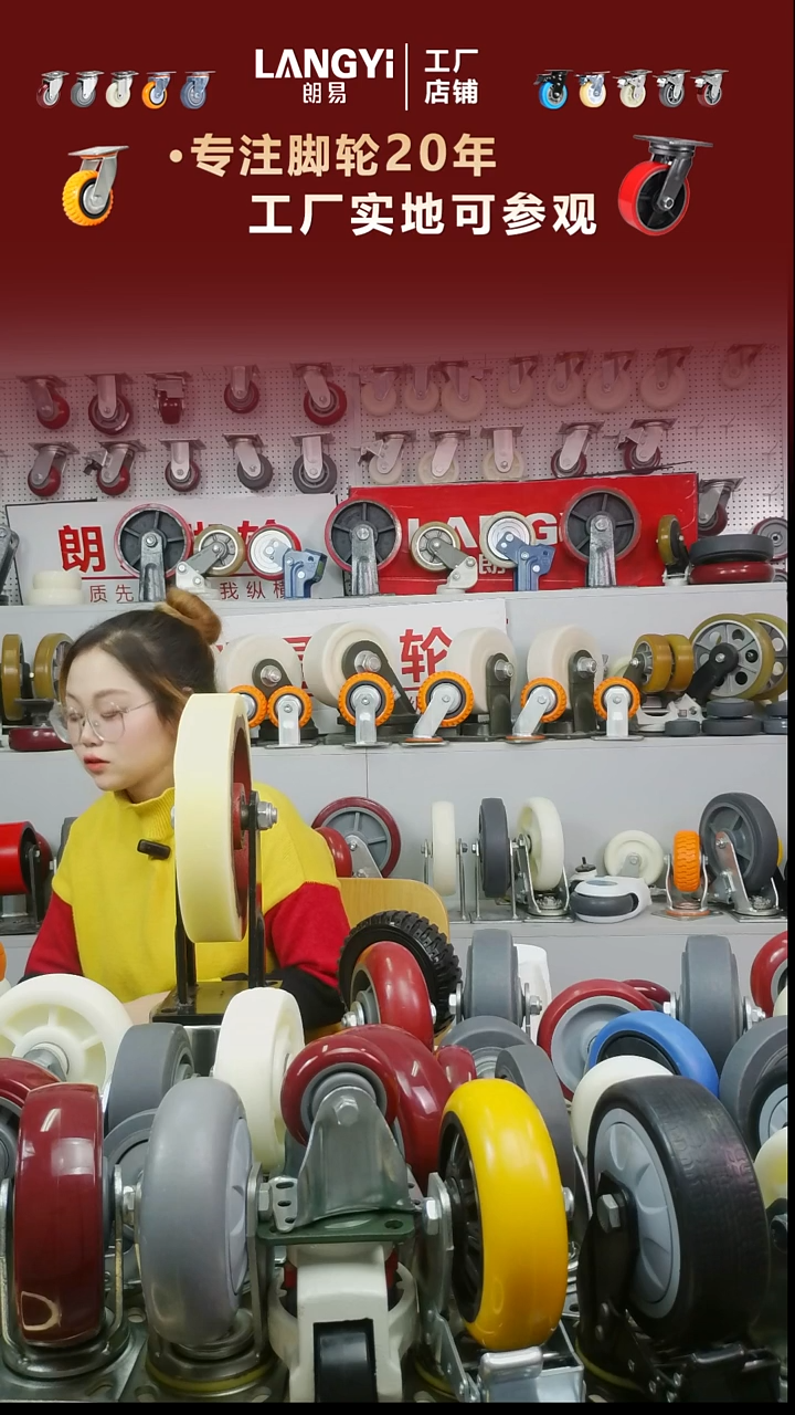 6寸铁芯英特尼4个定向+4个万向