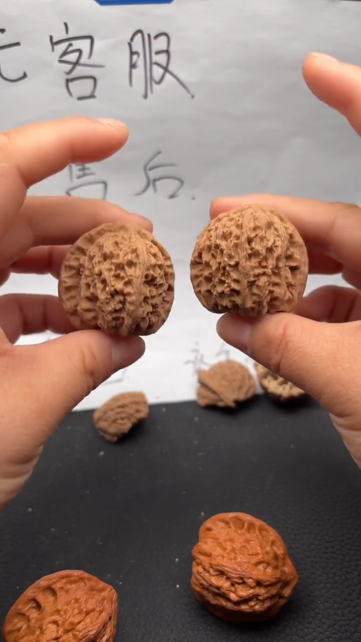 把件文玩核桃240白狮子