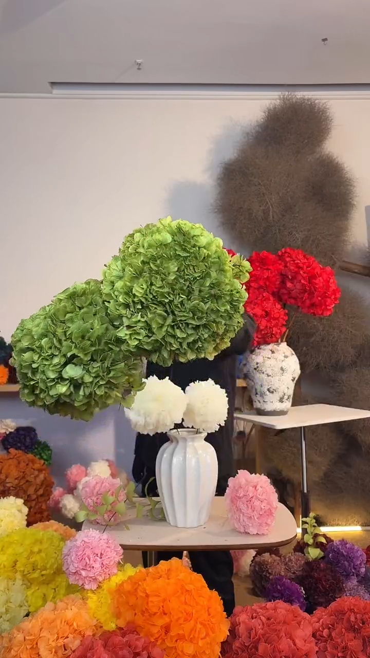 漂色吸色永生大叶绣球3枝 豆沙绿