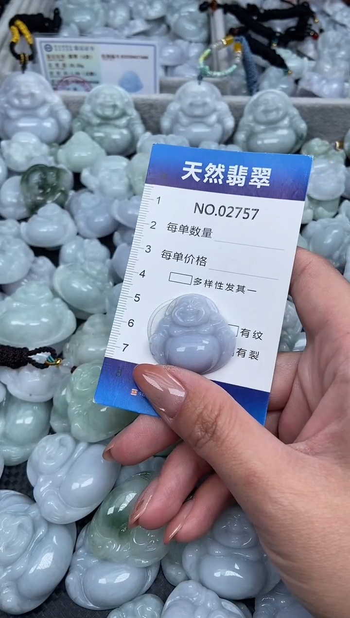 颈饰未镶嵌翡翠纯天然A货2757