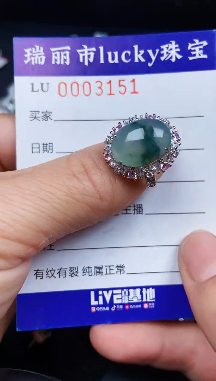 翡翠银S925镶嵌颈饰3151