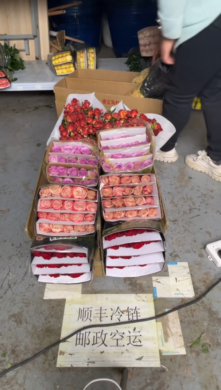 高原红20枝+卡布20枝+紫霞20枝+巧克力10枝