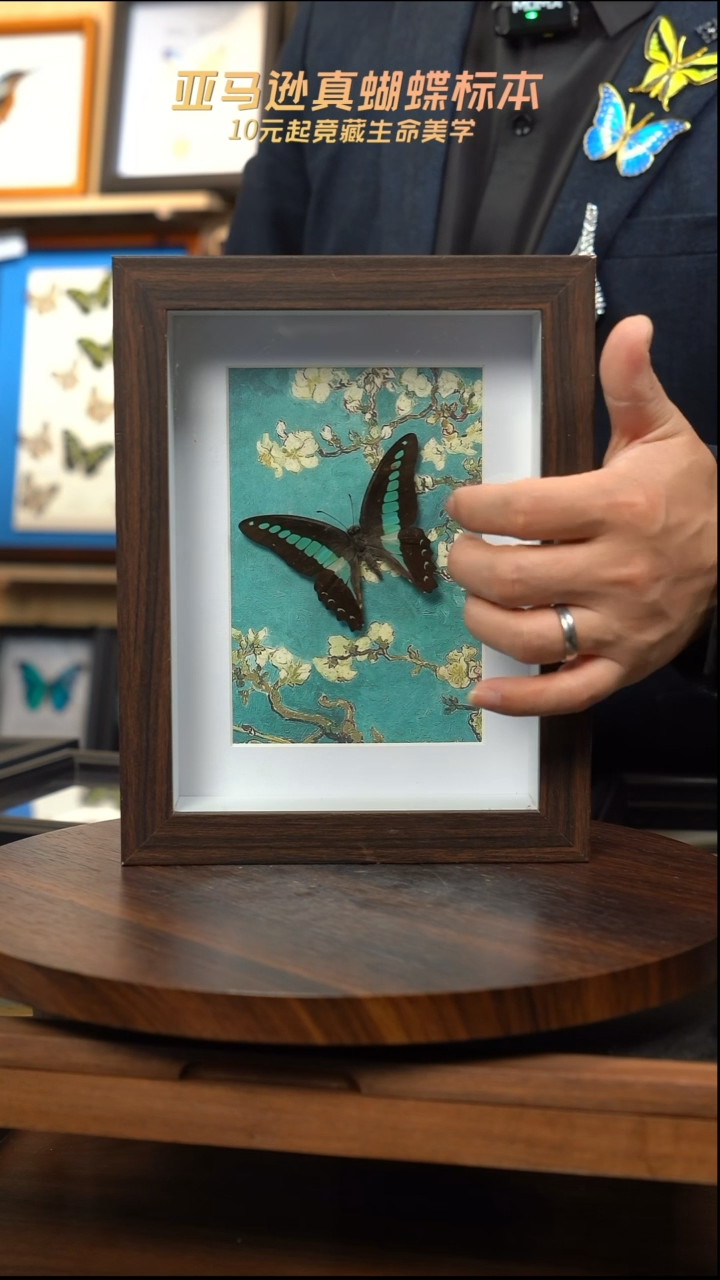 青凤蝶8寸复古框腊梅款