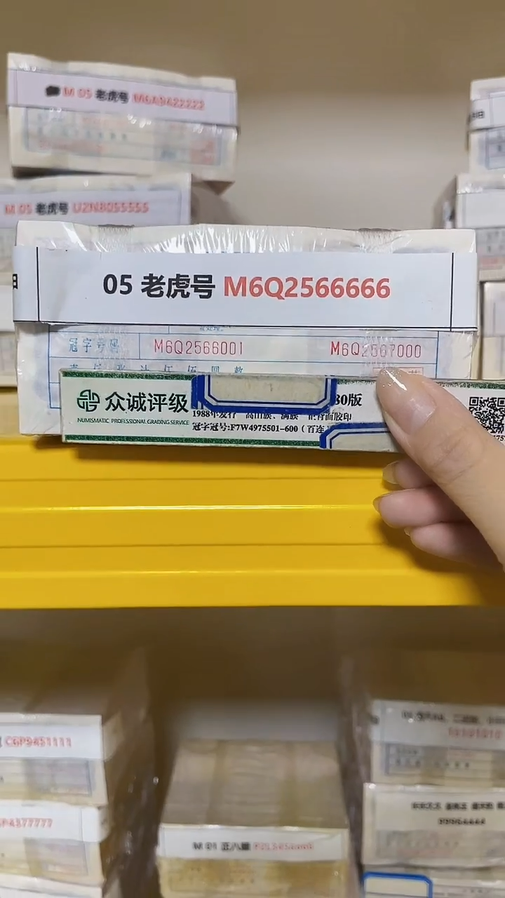 M 05 老虎号 M6Q2566666