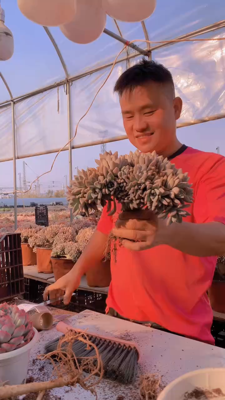 【闪购商品】缀化181