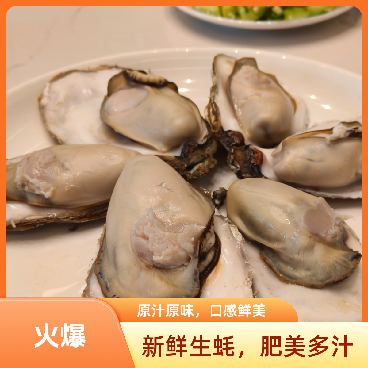 4.5斤生蚝海鲜乳山生蚝个大肥鲜