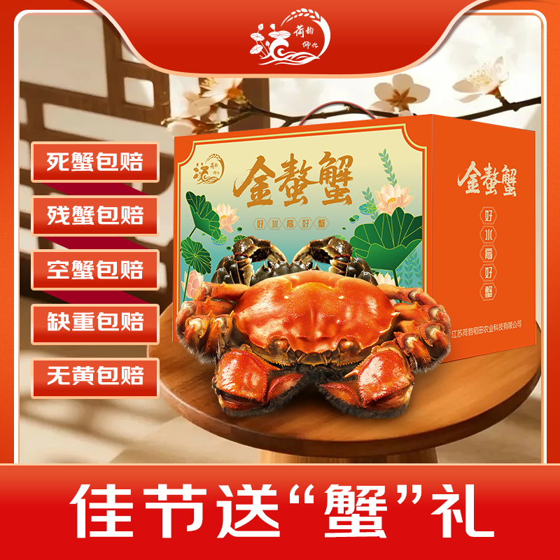 【活蟹】荷韵仰化-大闸蟹-母蟹-3.5-3.8两8/10只装-顺丰包邮礼盒装