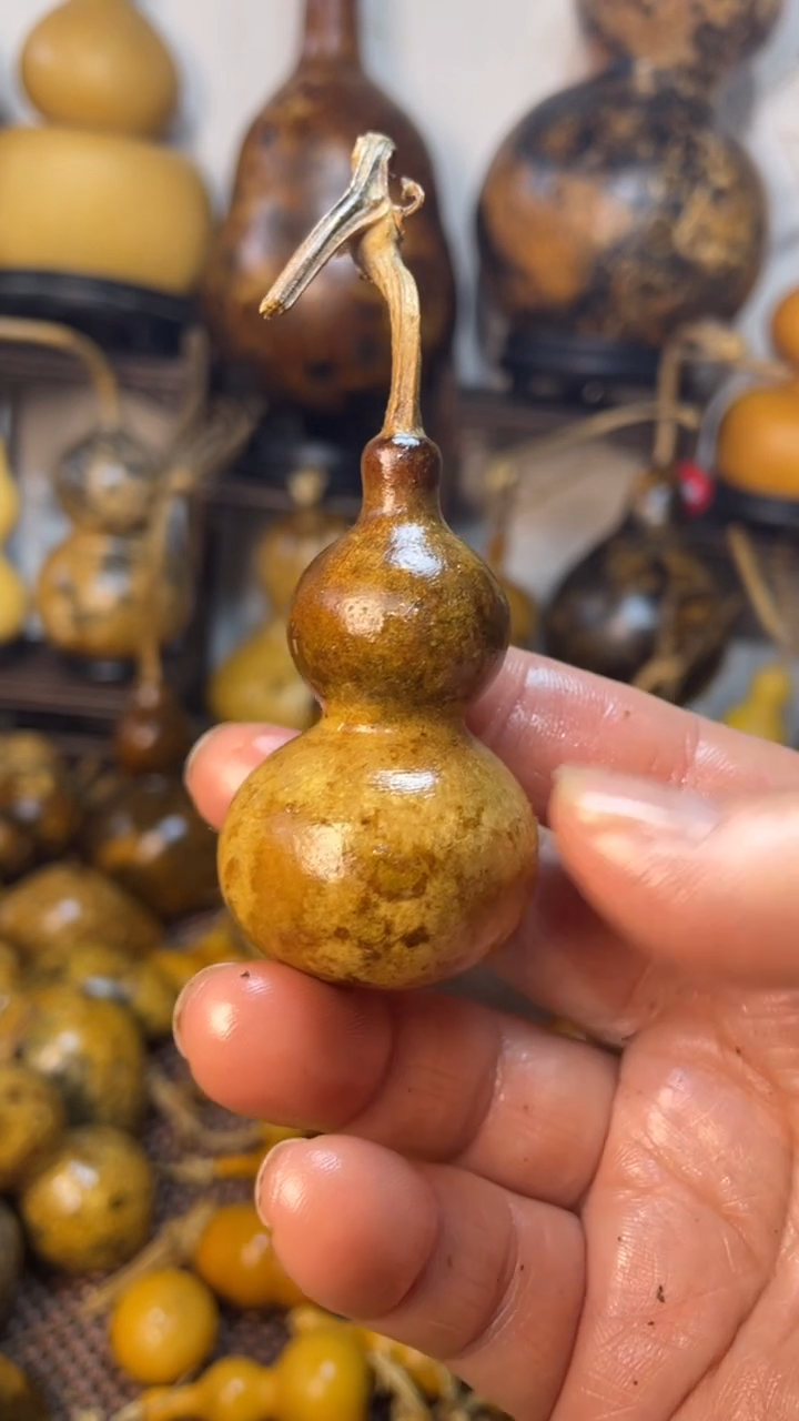【闪购商品】葫芦葫芦葫芦葫芦
