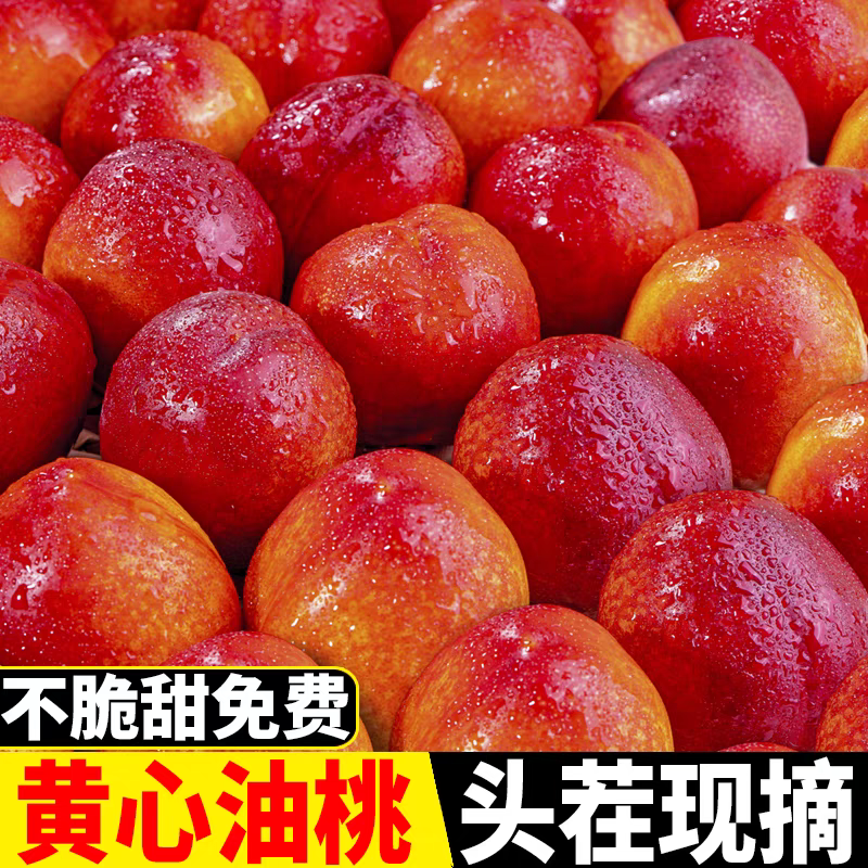 头茬露天黄心油桃清脆香甜现摘新鲜当季水果