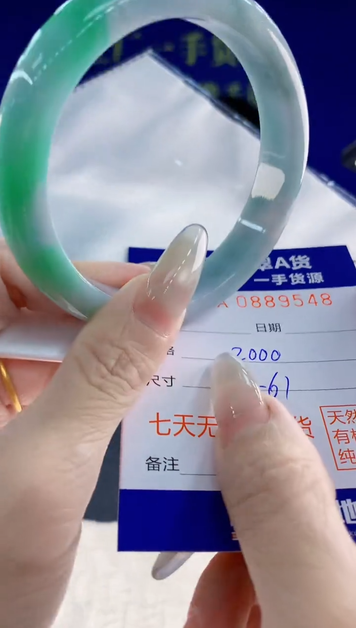 未镶嵌手镯翡翠48