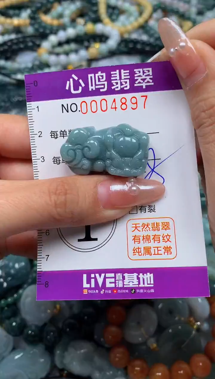颈饰未镶嵌翡翠闪购004897