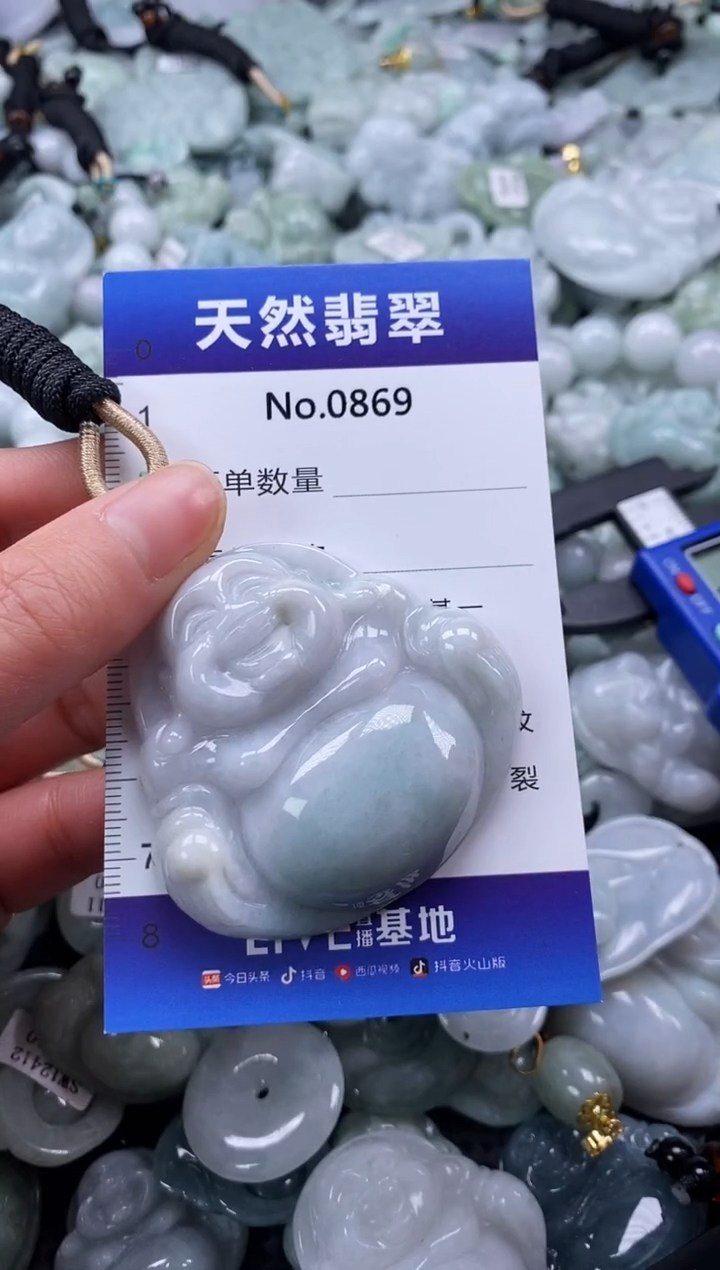【闪购商品】翡翠颈饰未镶嵌缅甸A货翡翠0869