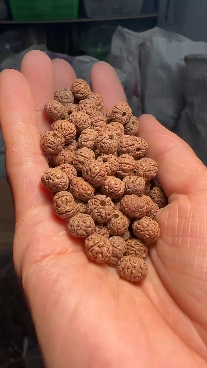 金刚菩提手串非全品纯血老树王散籽9-10mm一份一百颗+