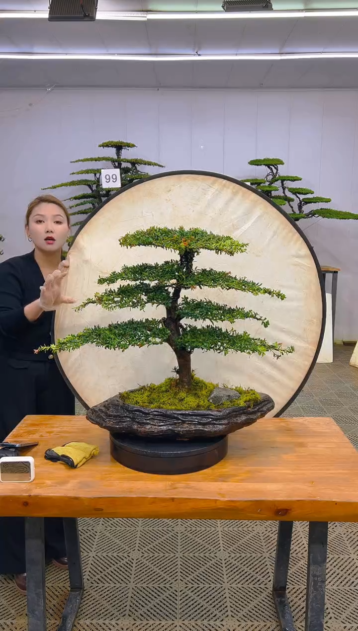 无花朵一物一拍一物一拍