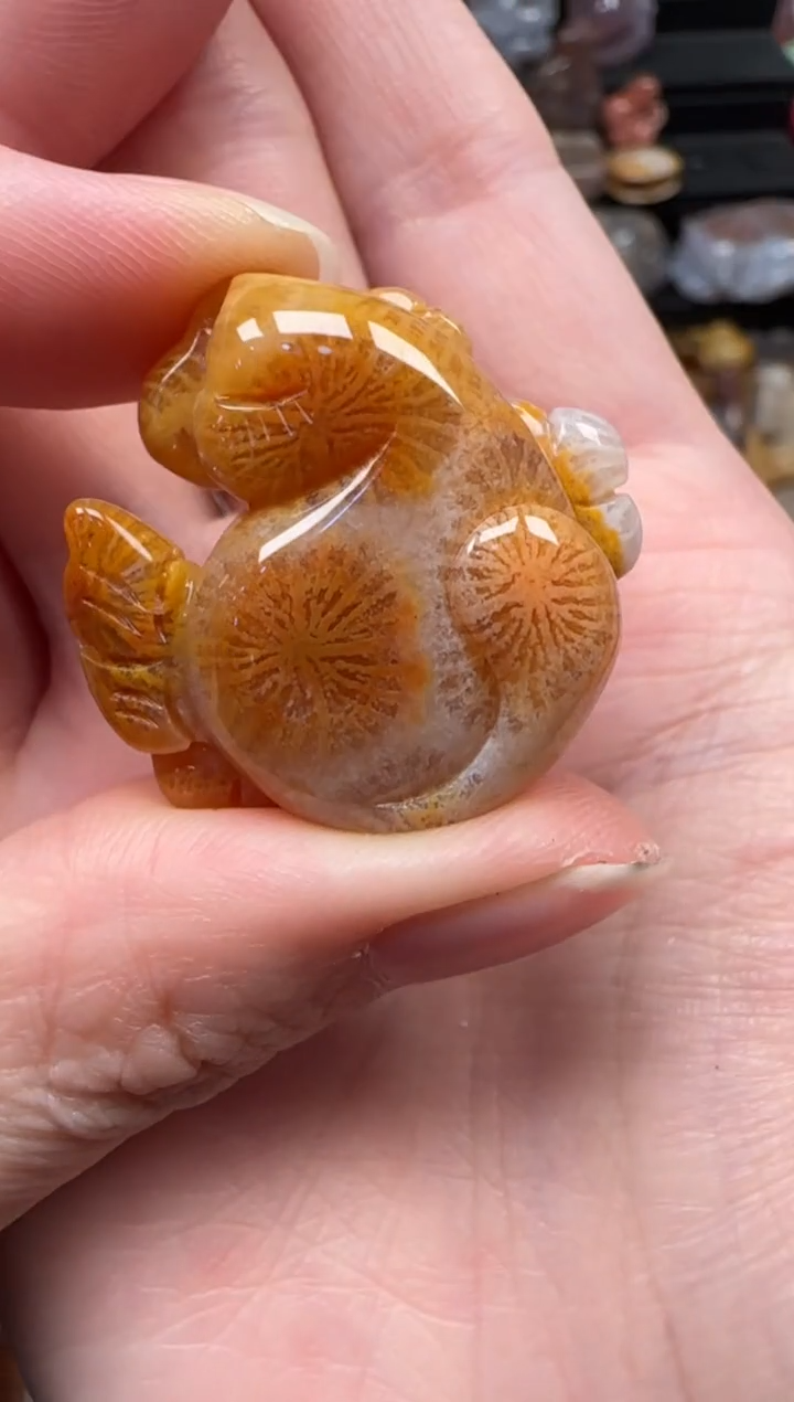 颈饰未镶嵌硅化珊瑚（珊瑚玉）376