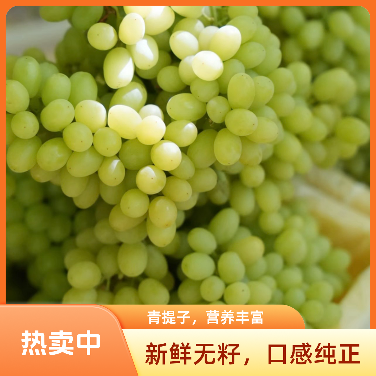 【ZV明日达】7月14日现货新疆吐鲁番火焰山无核白葡萄新鲜水果皮薄无籽纯甜3-5斤装（顺丰快递）新疆维吾尔自治区