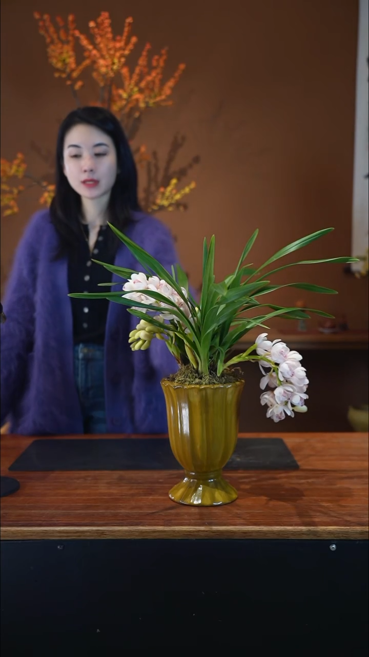 全部花朵小仙女盆景盆景盆景