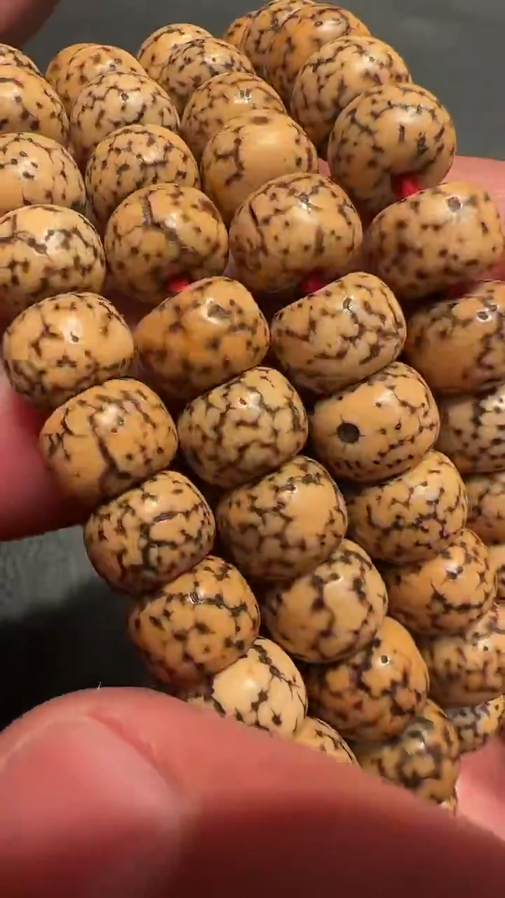 星月念珠星月念珠