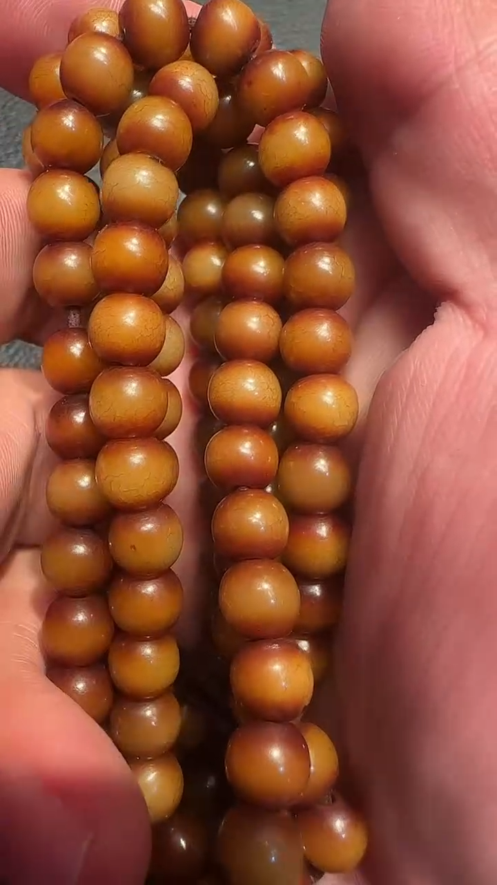 菩提根念珠菩提根念珠