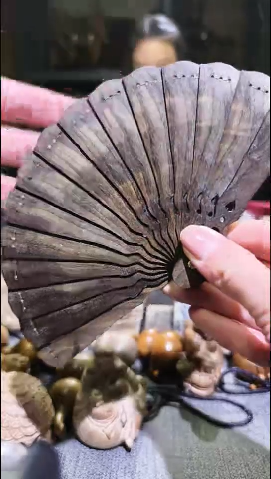 金丝楠     小扇子