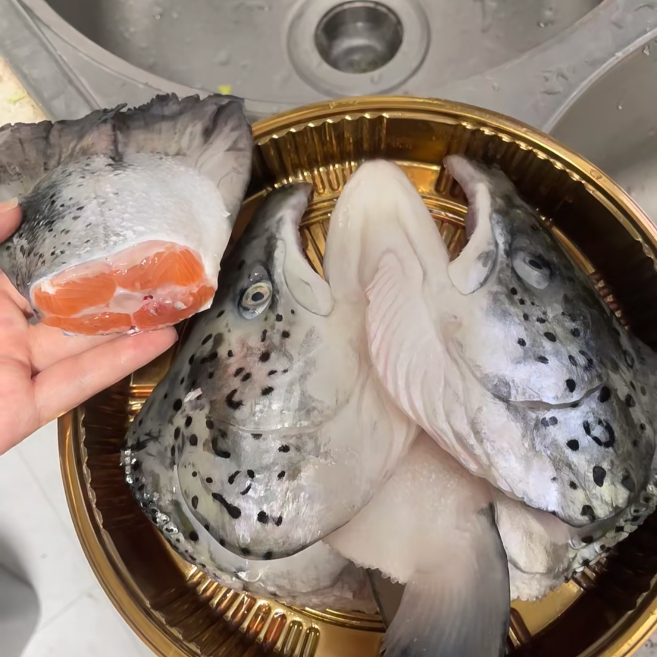 新鲜三文鱼鱼头鱼尾鱼骨大西洋鲑鱼冰鲜可煲汤食材
