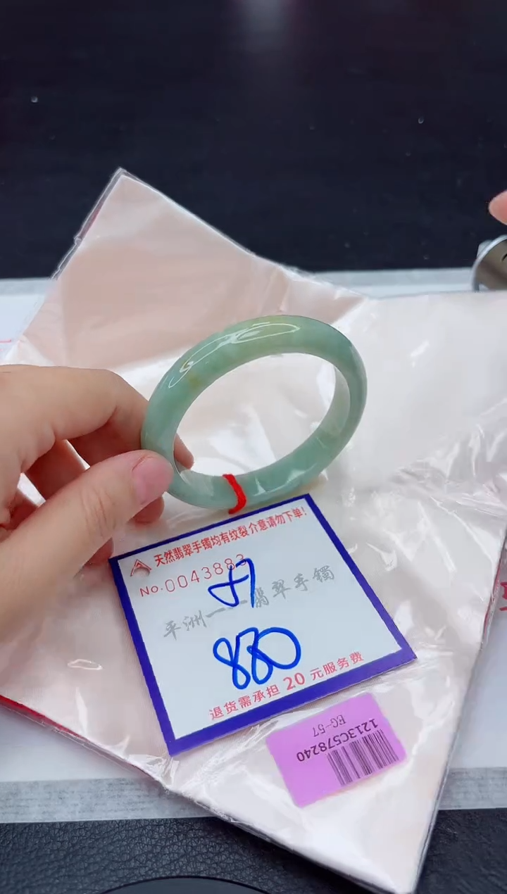 未镶嵌手镯翡翠1