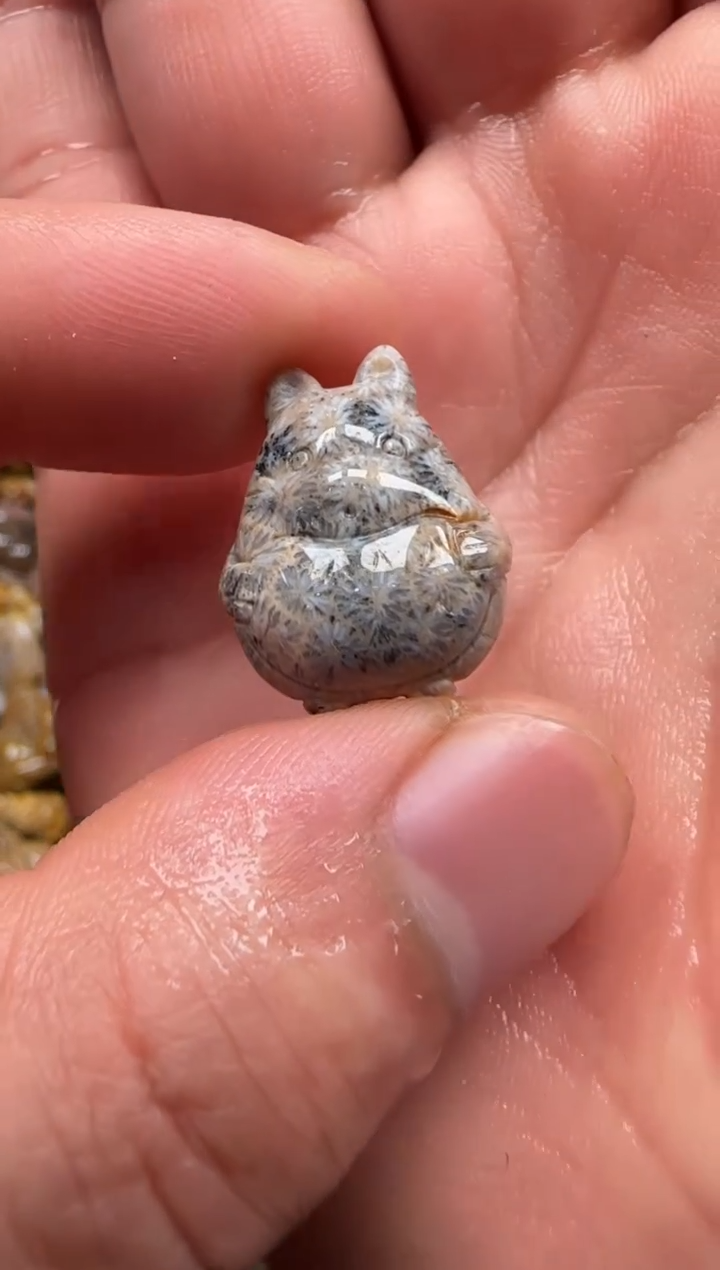 【闪购商品】硅化珊瑚（珊瑚玉）颈饰未镶嵌073