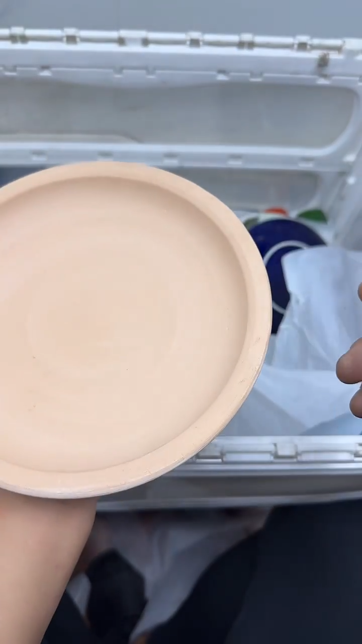 【闪购商品】427回流瓷器默认微瑕，18.8包邮