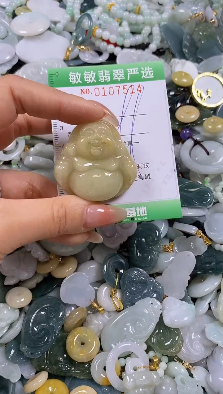 【闪购商品】翡翠颈饰未镶嵌闪购0107514