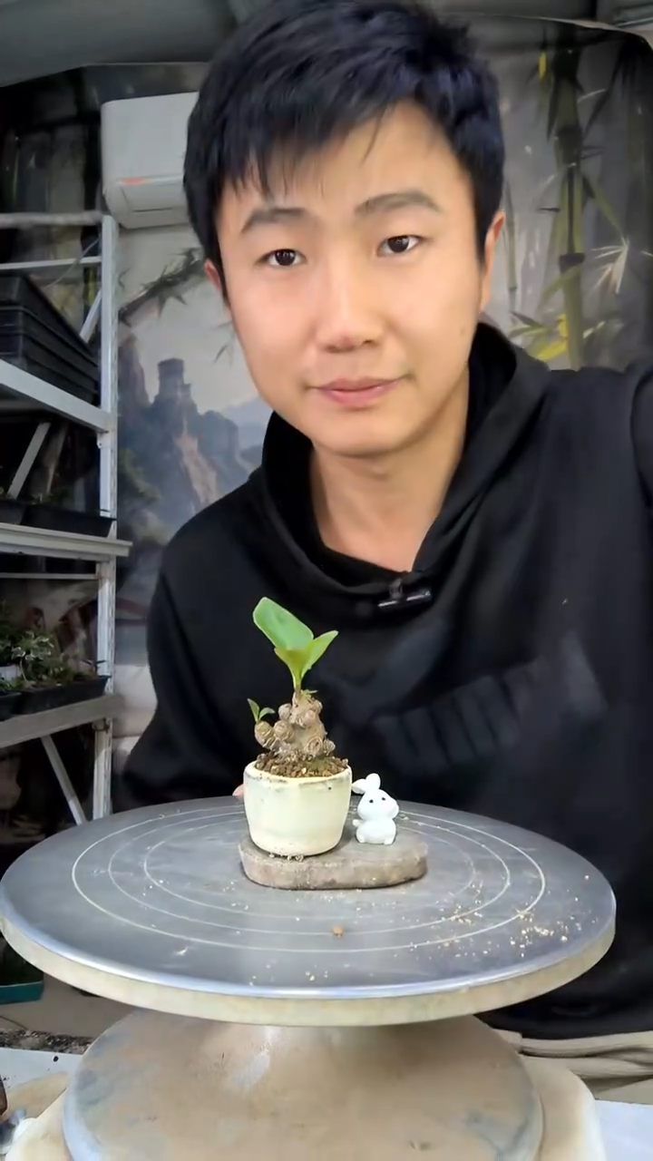喵中青园艺一物一拍花135