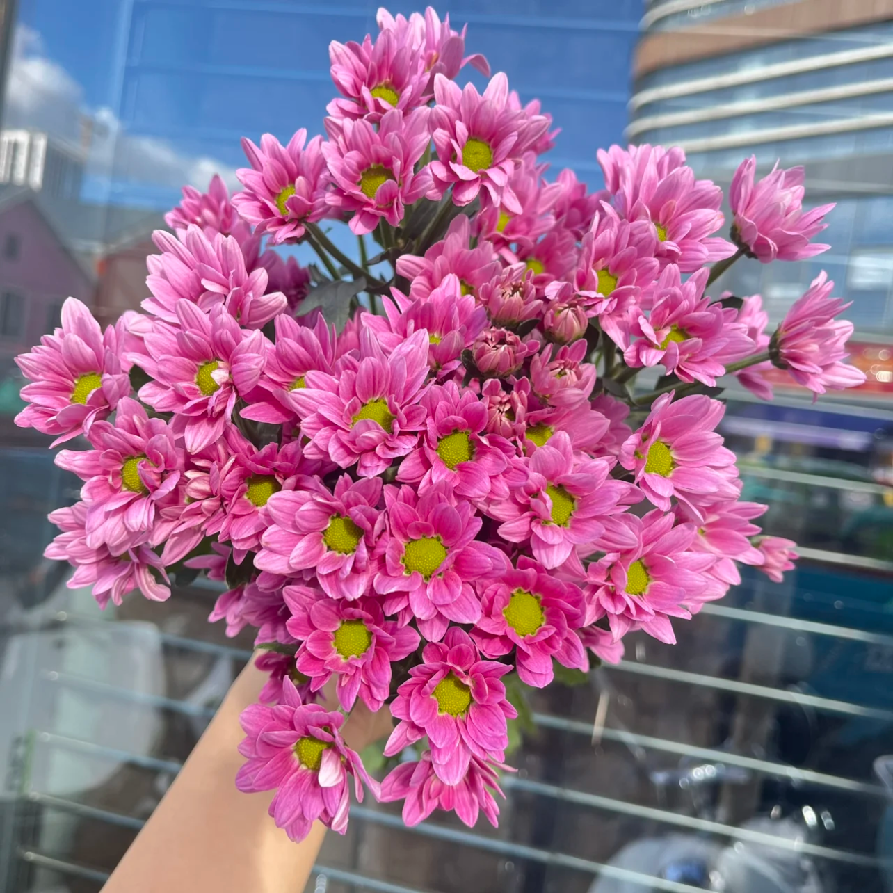 【花相拾】梦幻小菊-顺丰包邮