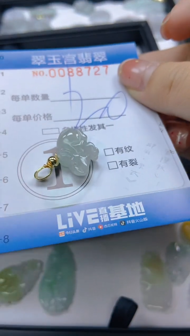 【闪购商品】翡翠颈饰未镶嵌闪购0088727