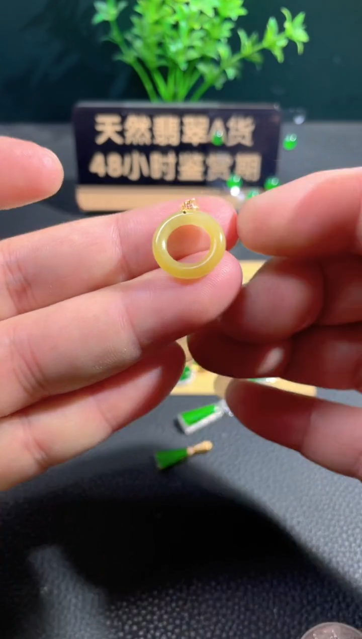 【闪购商品】翡翠颈饰18K金镶嵌翡翠