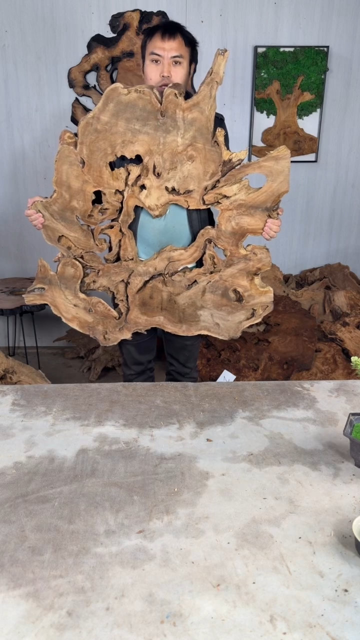 香杉木木头款杉木瘤挂件【原料】041