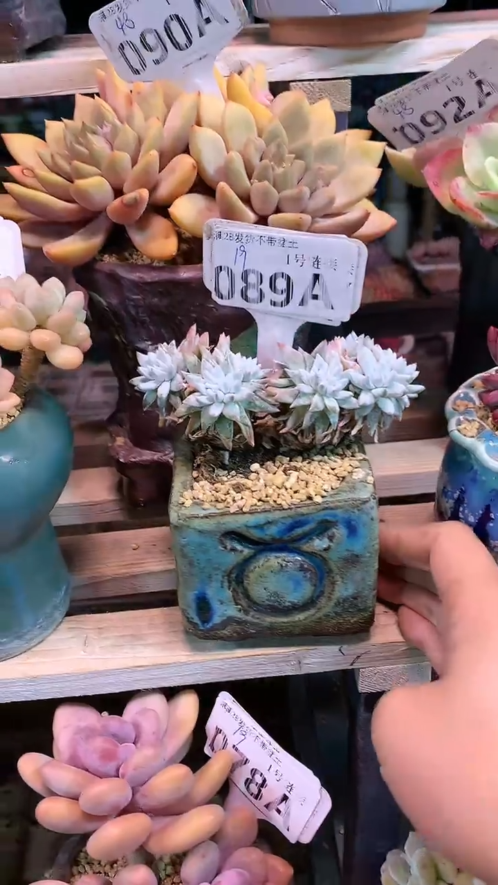 【闪购商品】089AAA