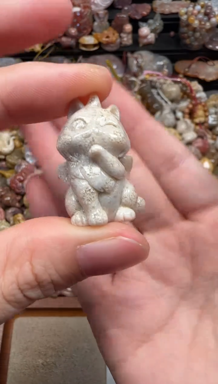 硅化珊瑚（珊瑚玉）未镶嵌颈饰381